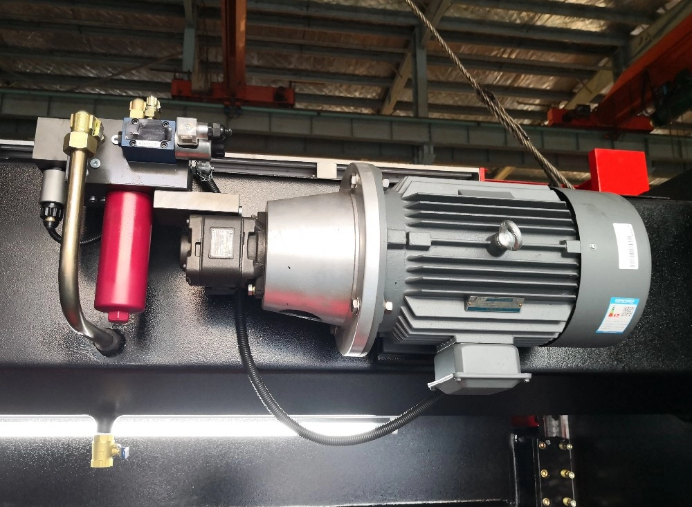  도감 1111111111111.png